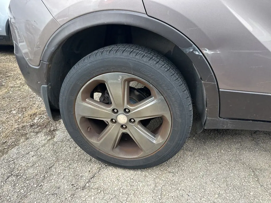 image-6