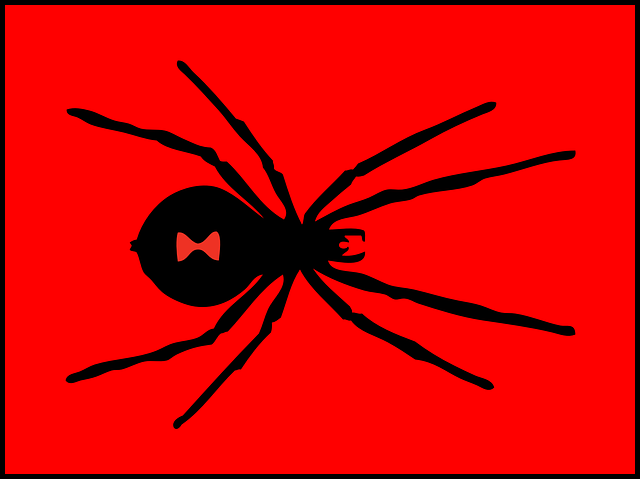 Red Black Widow Logo