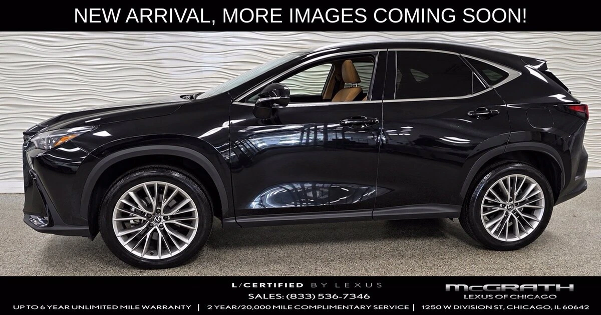 2025 Lexus NX