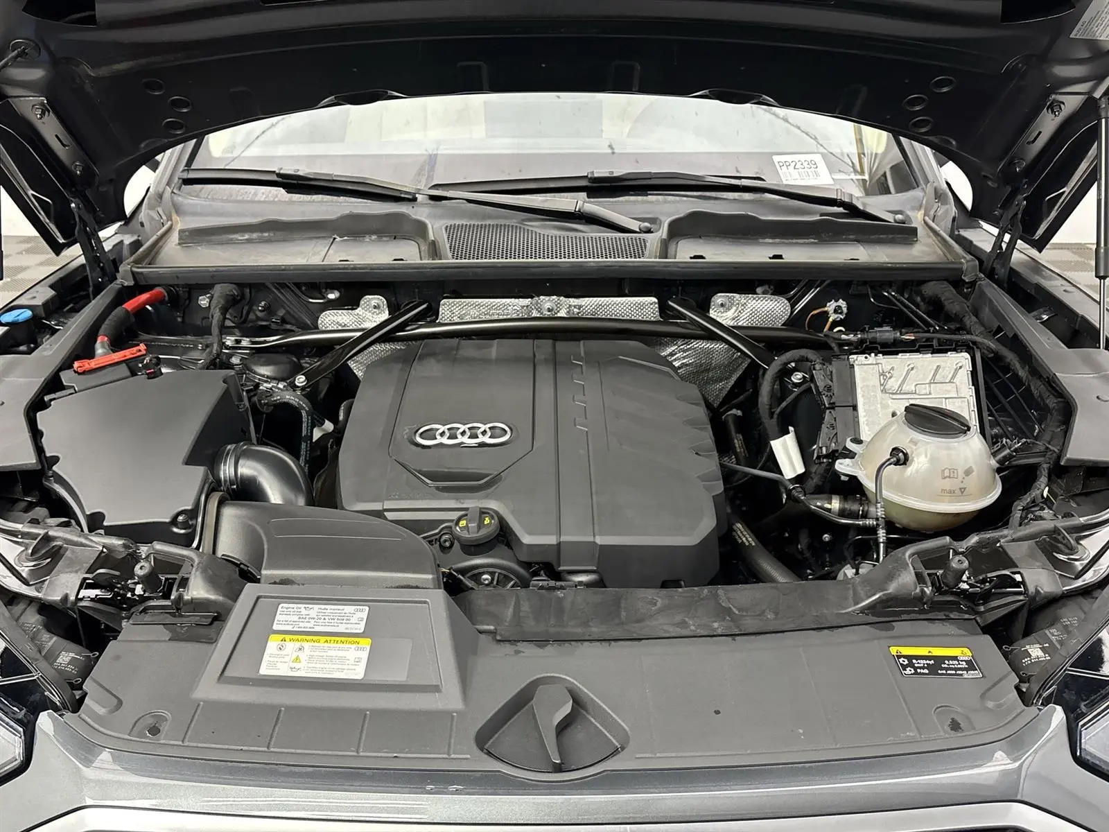 image-19