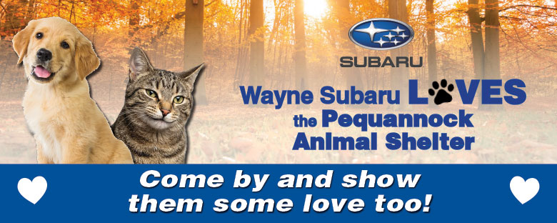 Subaru Loves Pets