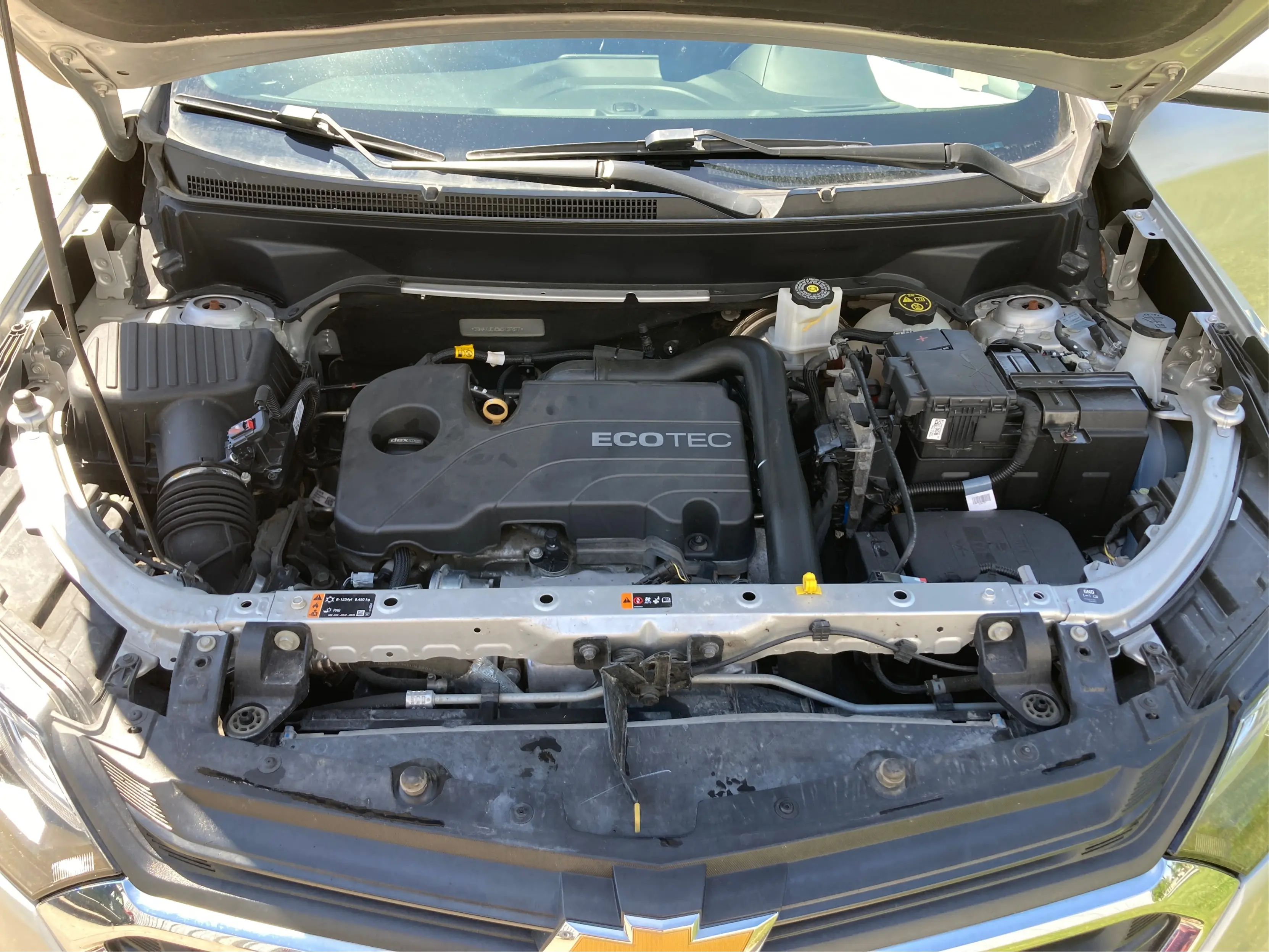 image-10