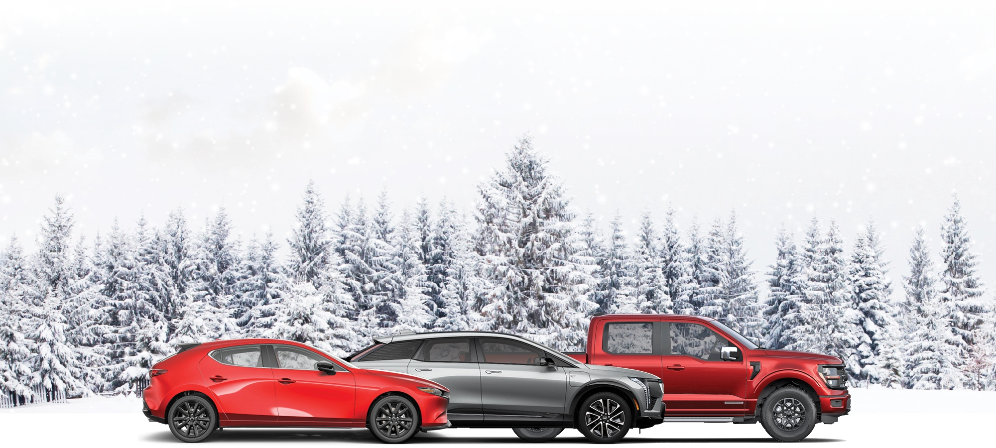 Mazda, Cadillac, and F-150 on Snowy background with trees