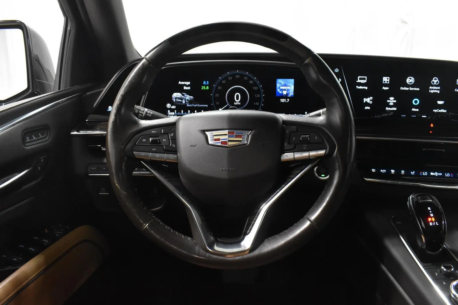 image-7