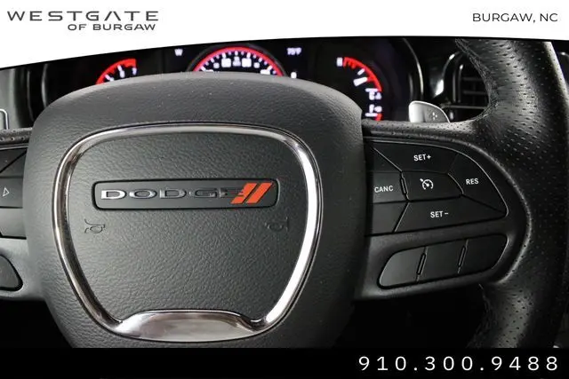 image-19