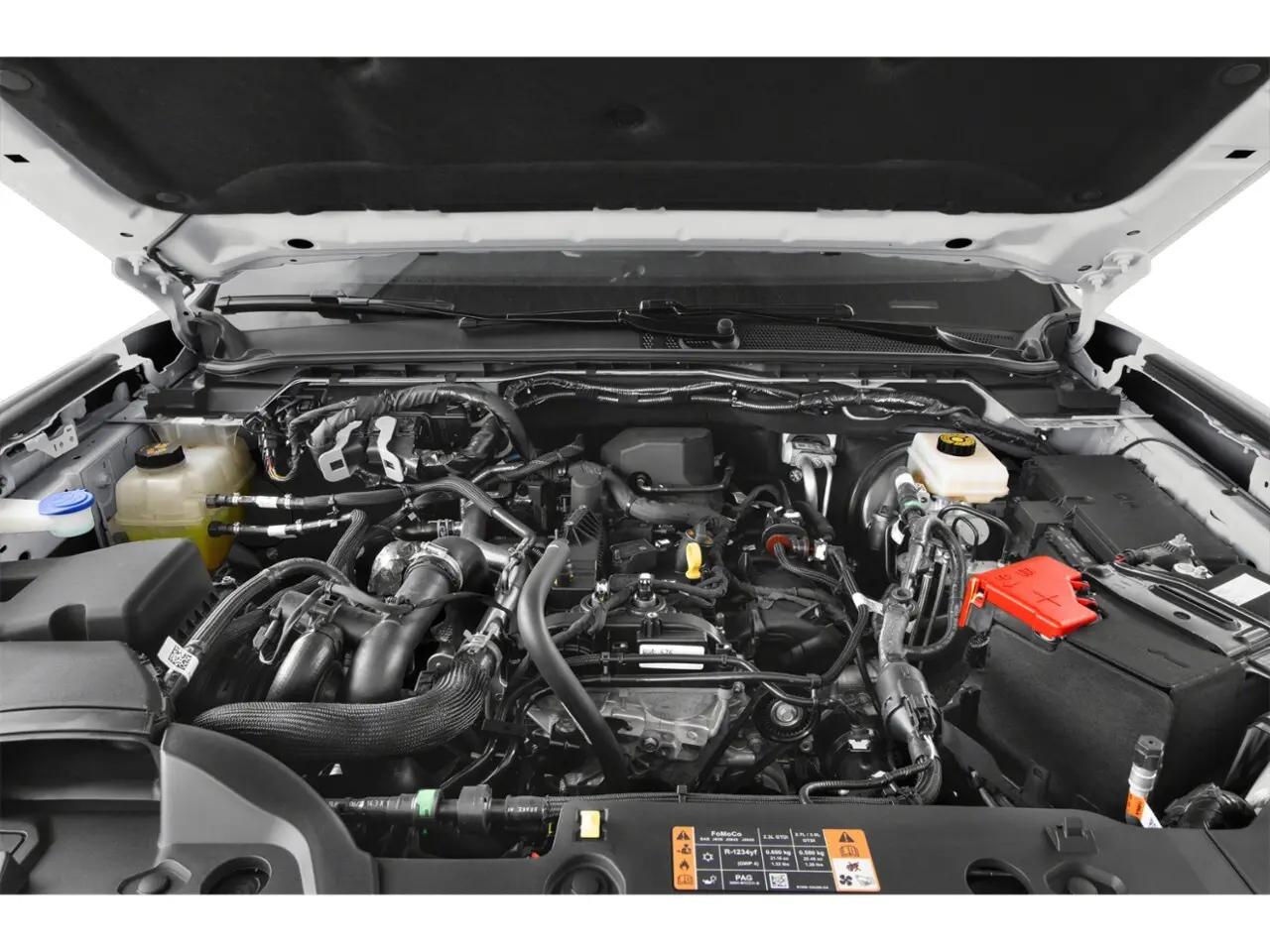 image-19