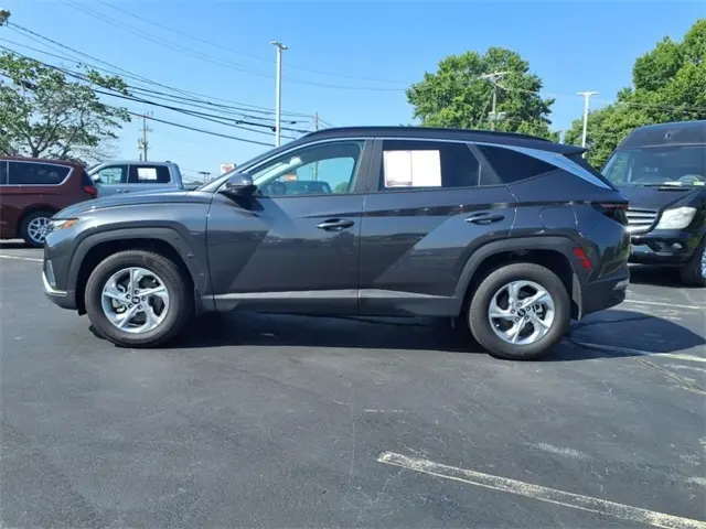 image-19