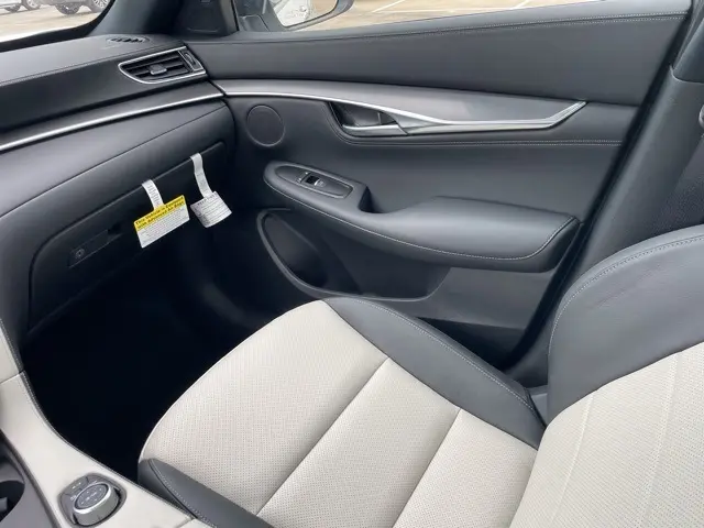 image-11