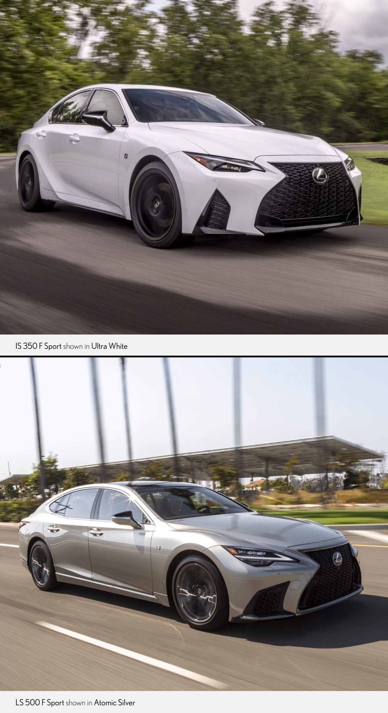 Lexus IS vs. LS: A Comprehensive Comparison L1