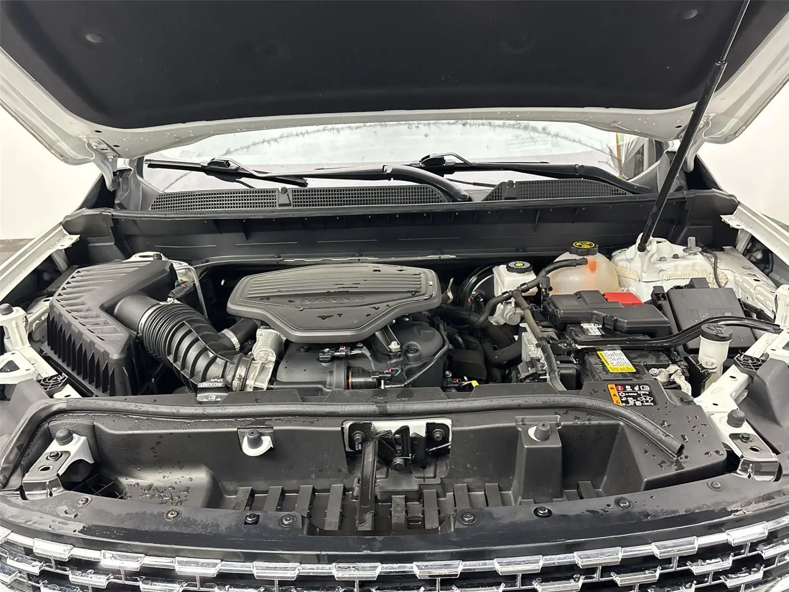 image-19