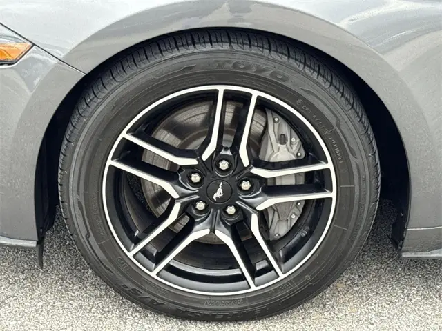 image-19