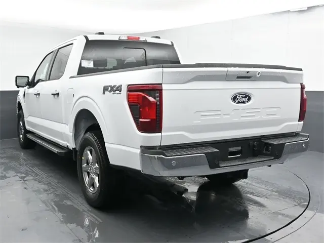 image-10