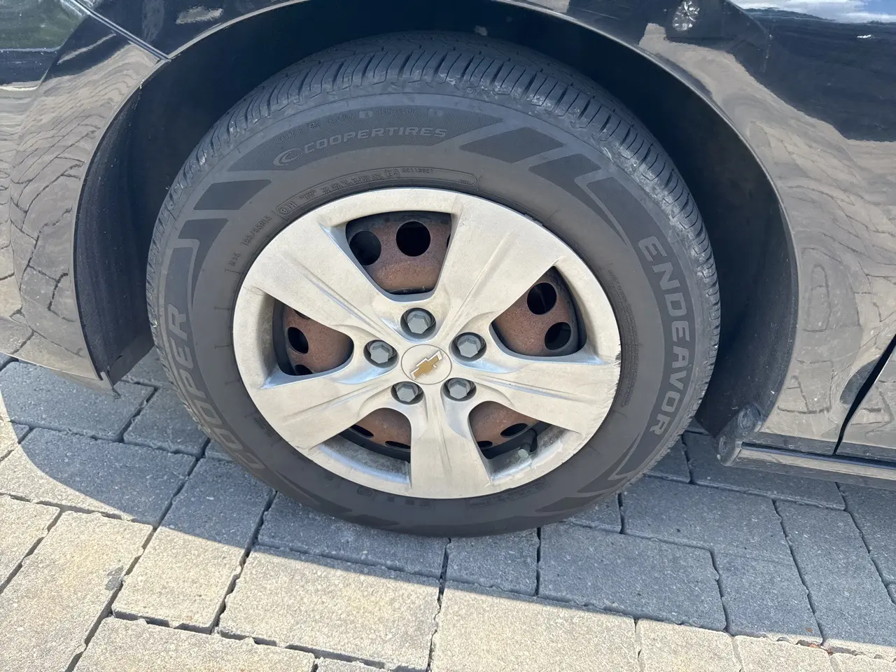 image-7