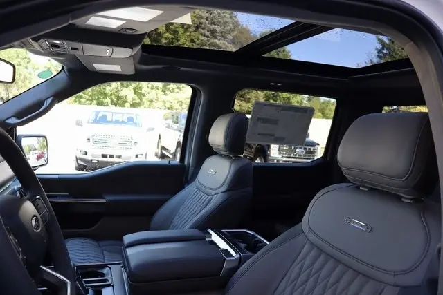 2025 Ford F-150 Platinum photo 5