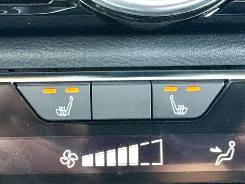 image-19