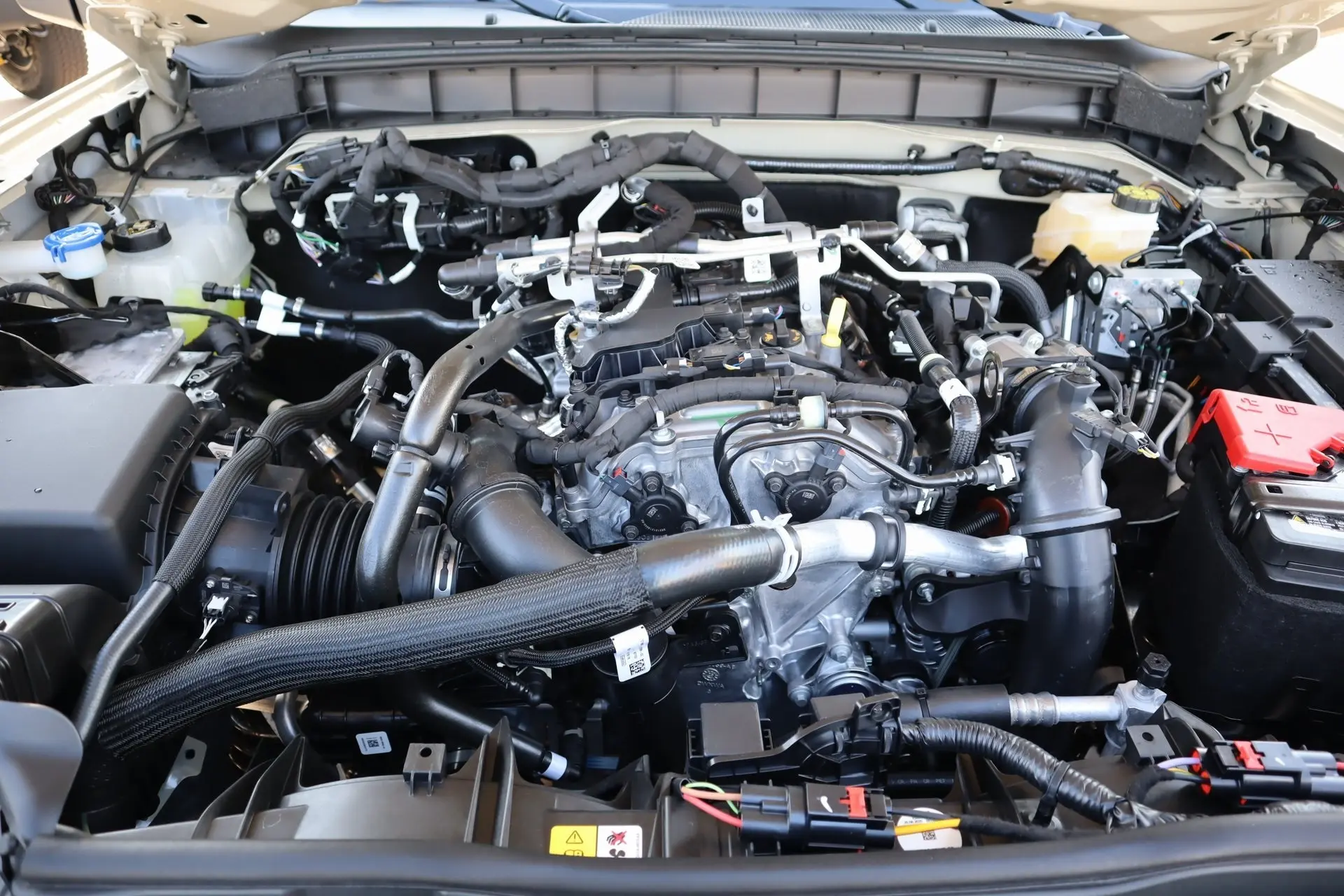 image-19