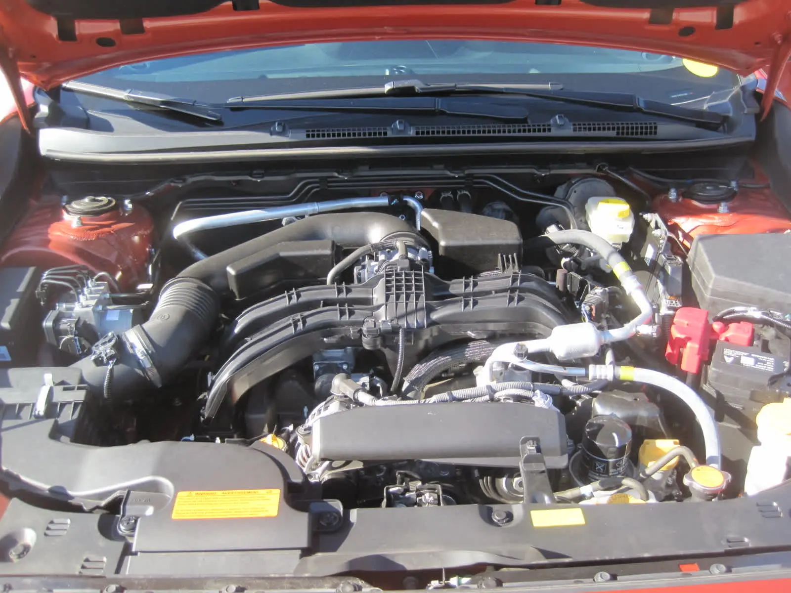 image-6