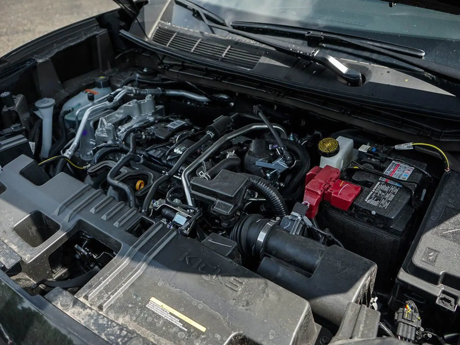 image-5