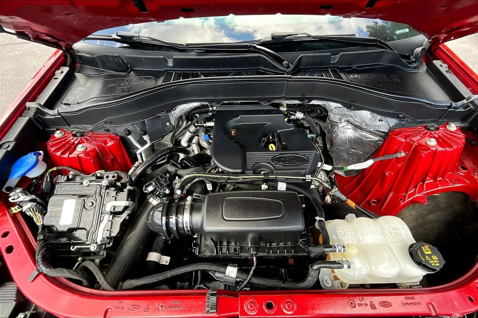 image-8