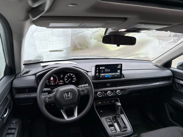 image-11