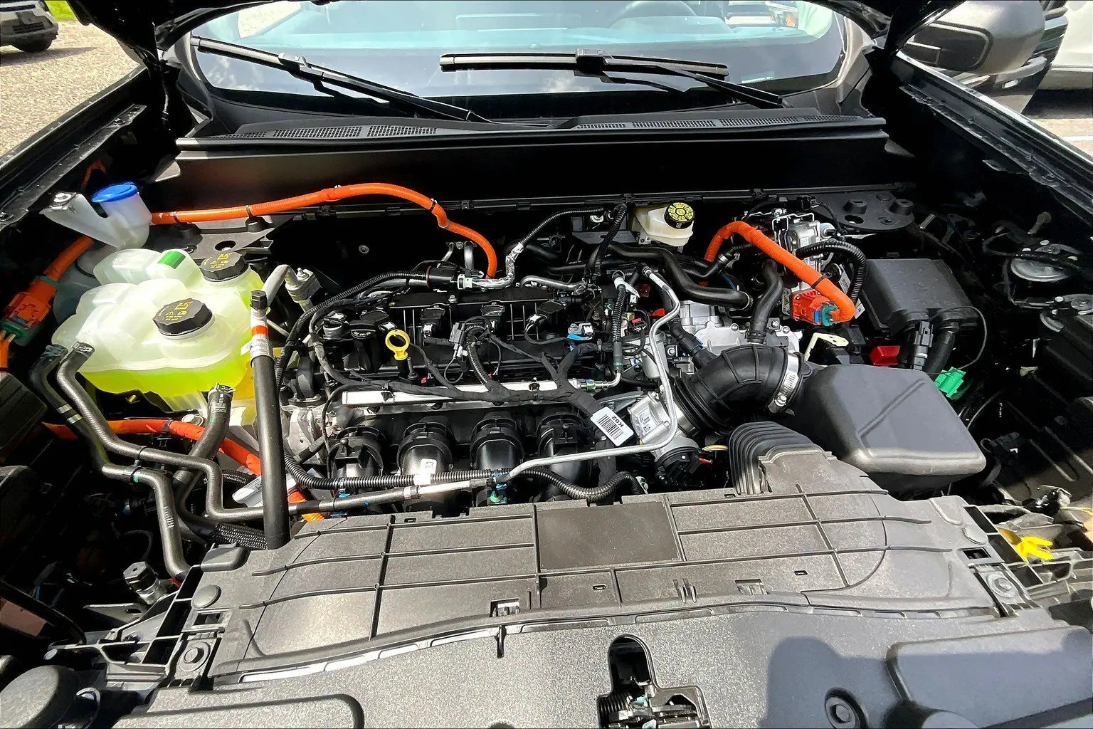 image-10