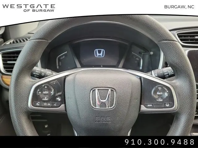 image-19