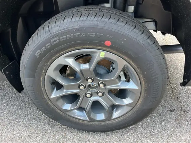 image-10