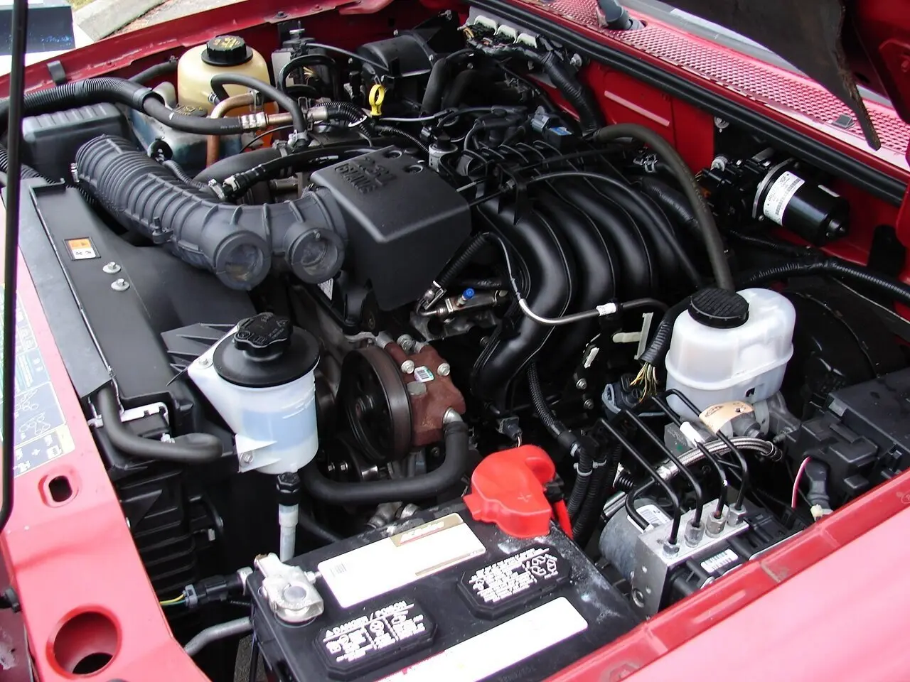 image-6
