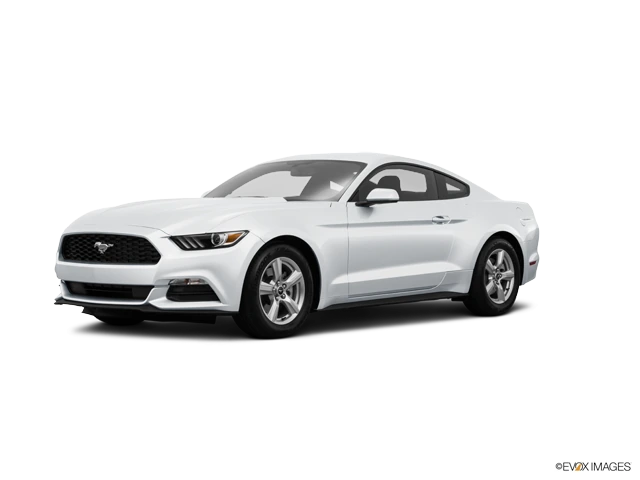 image-0