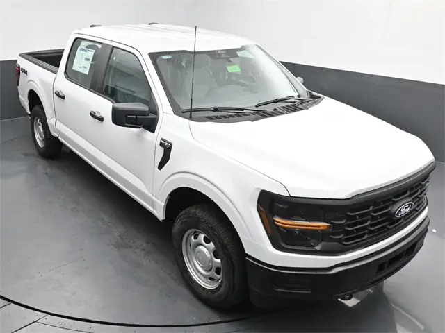 image-19