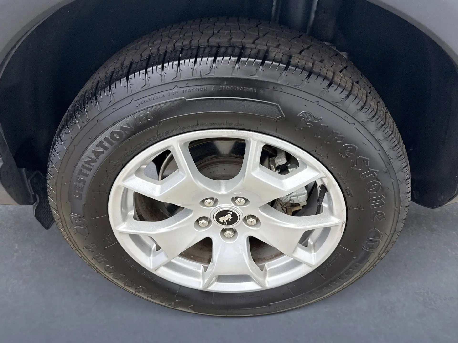 image-19