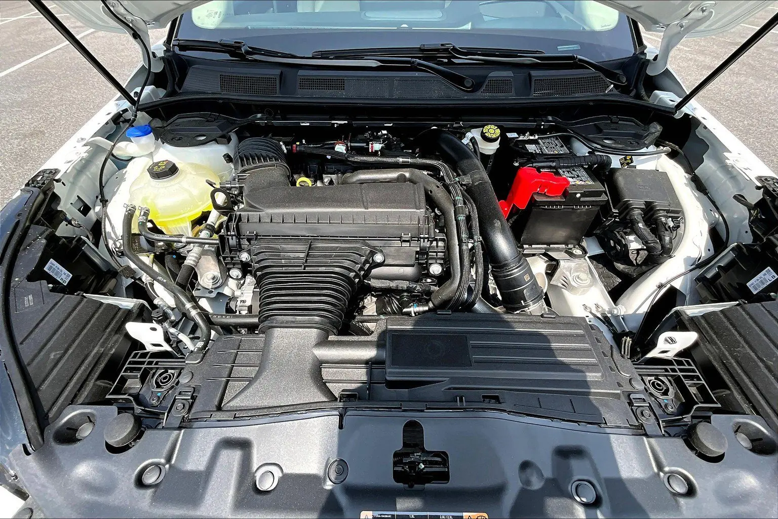 image-10