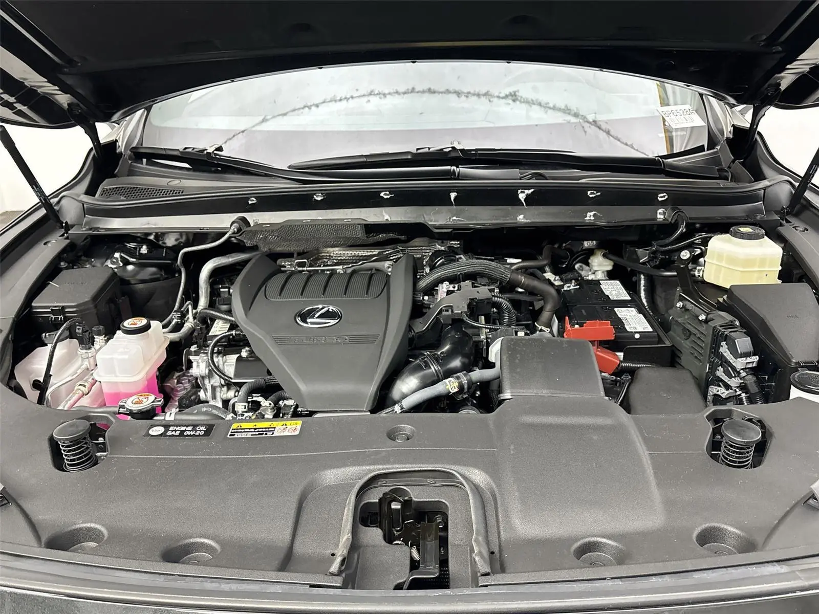 image-19