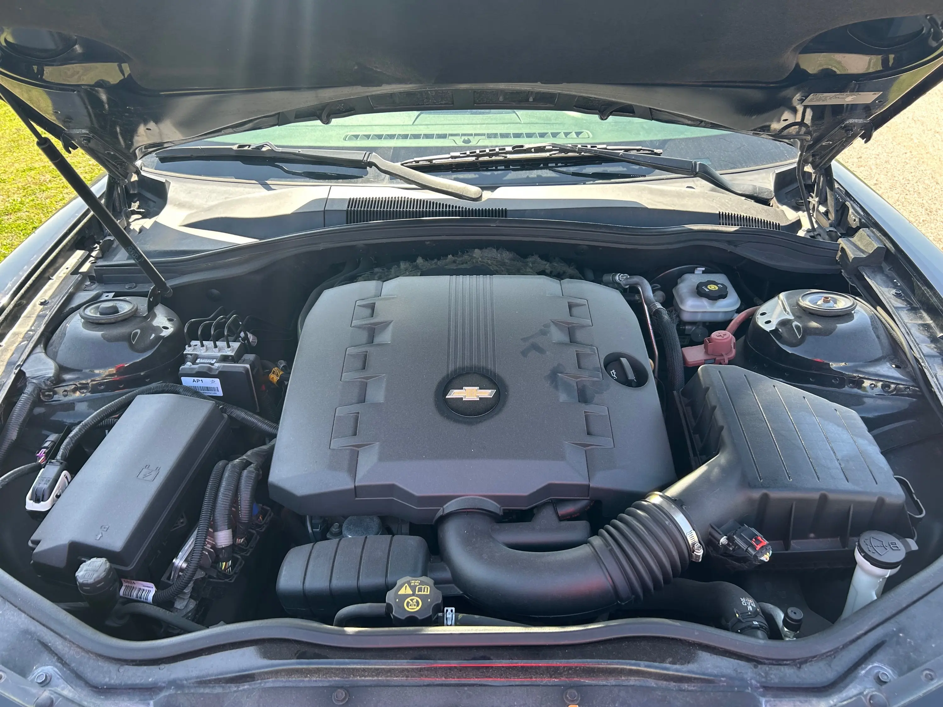 image-11