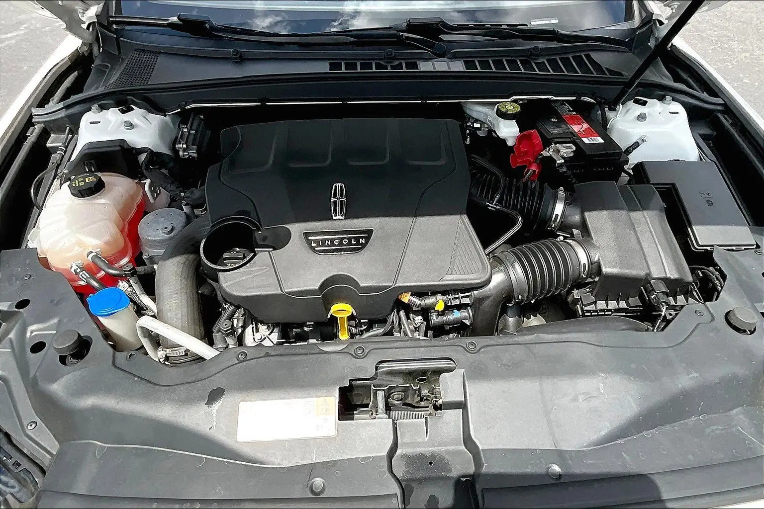 image-8