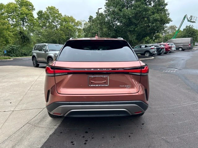 2023 Lexus RX 350 - Photo 6