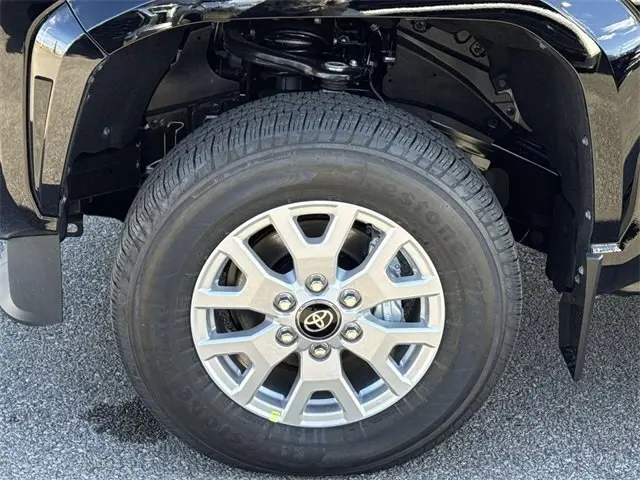 image-19