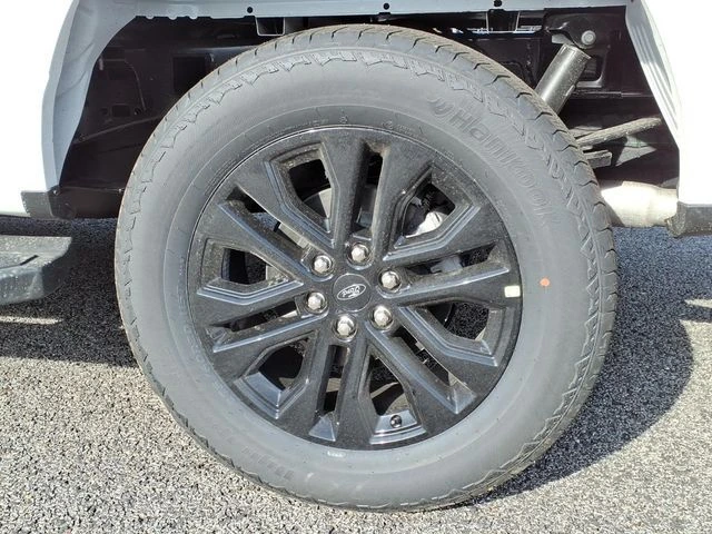image-7