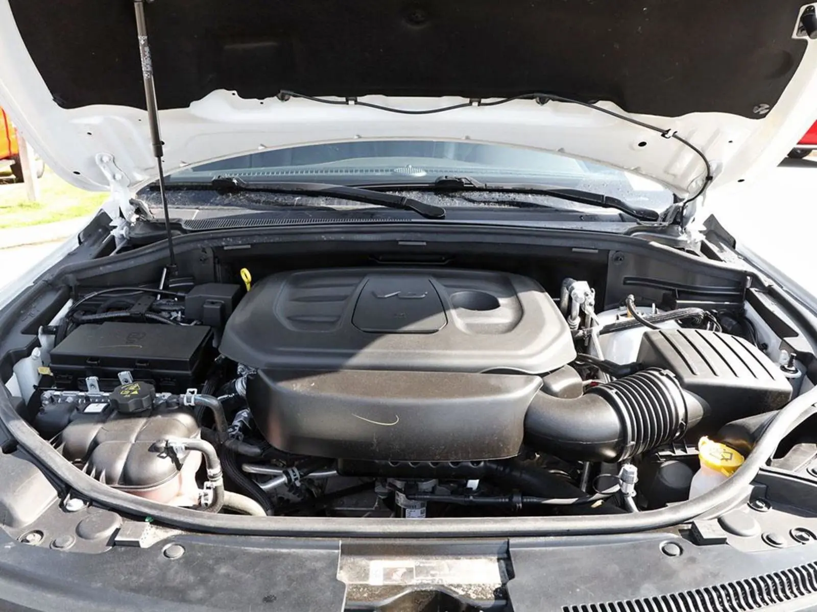 image-7