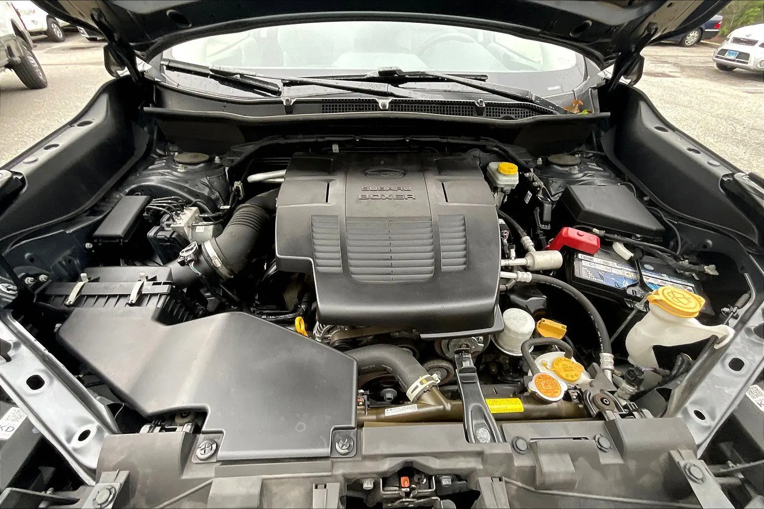 image-12
