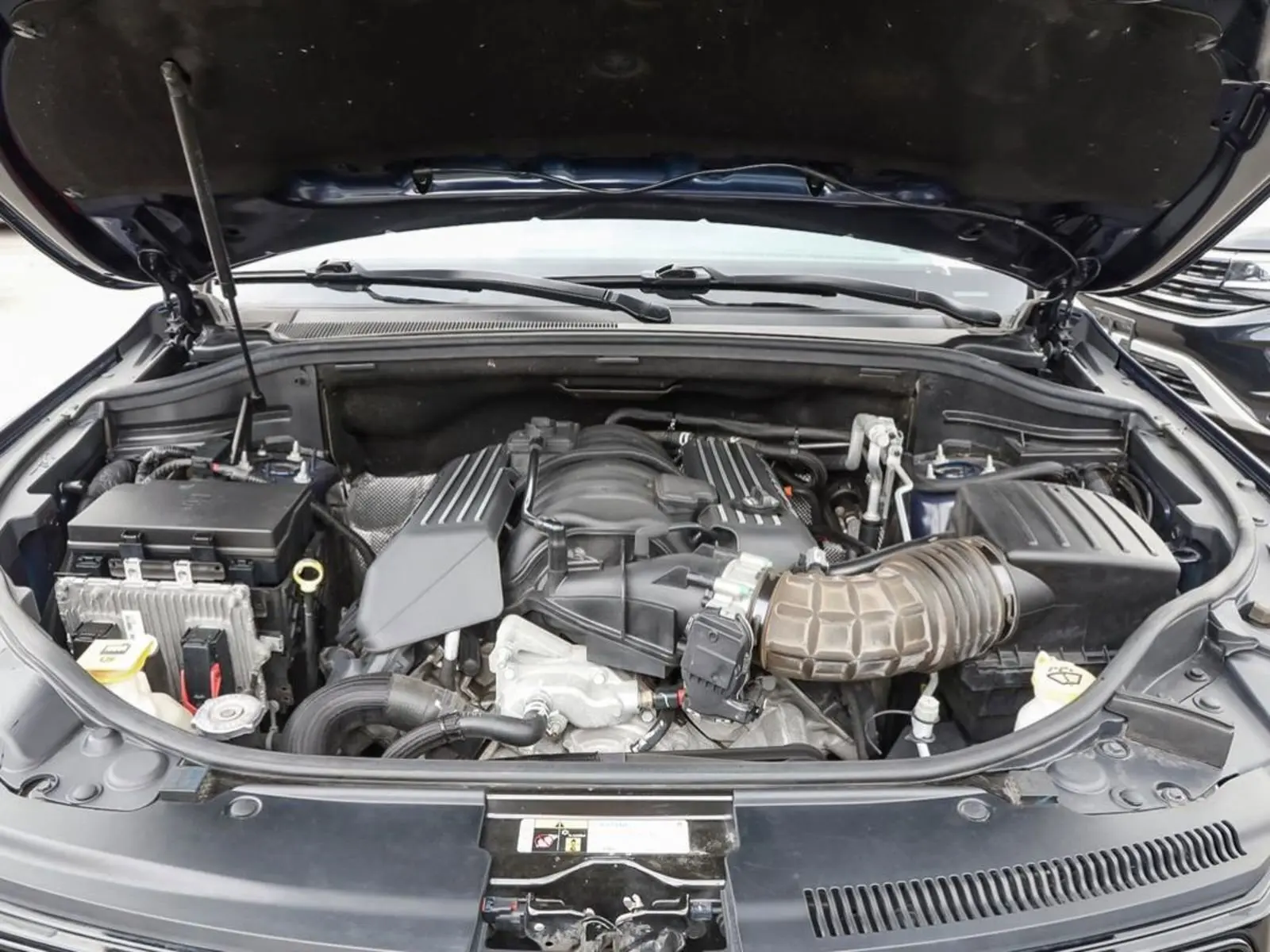 image-7