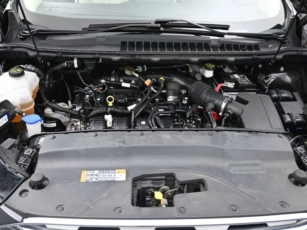 image-19