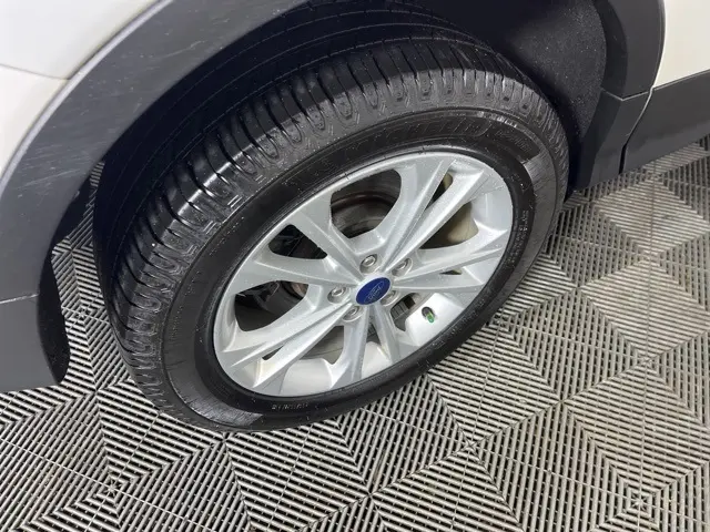 image-7