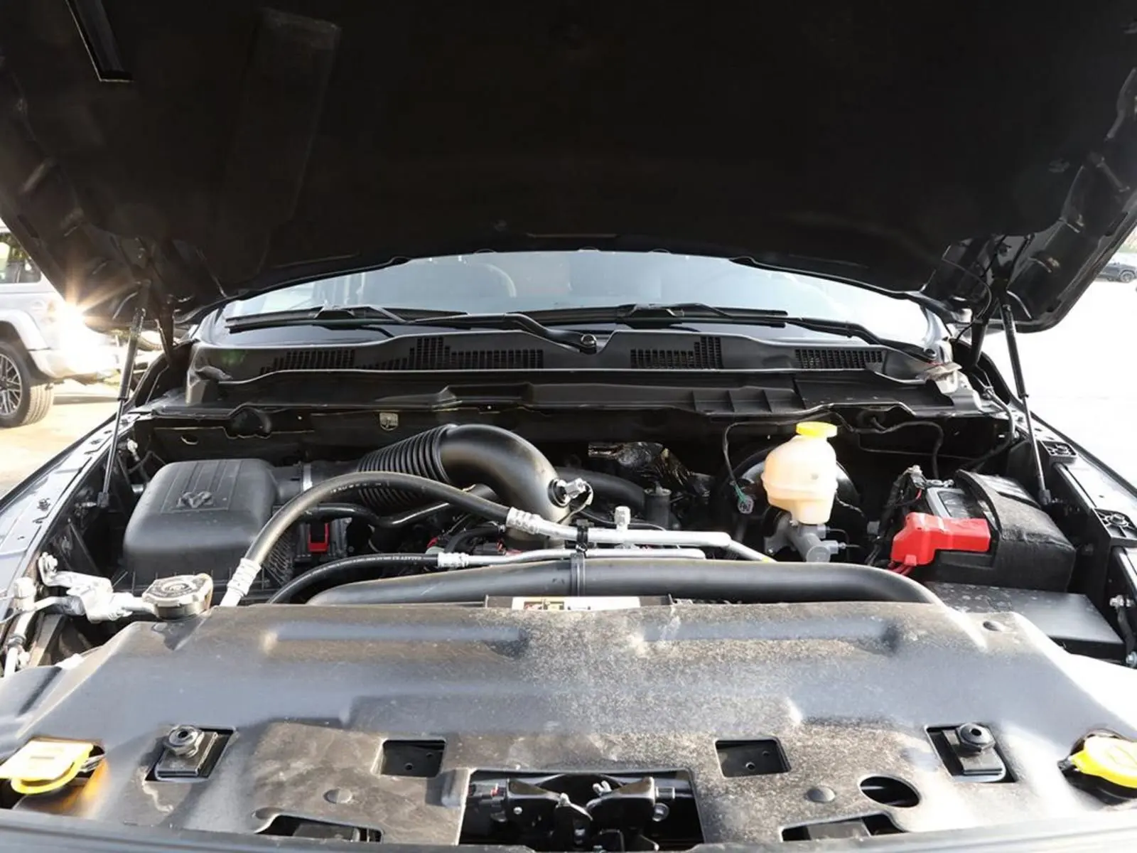 image-7