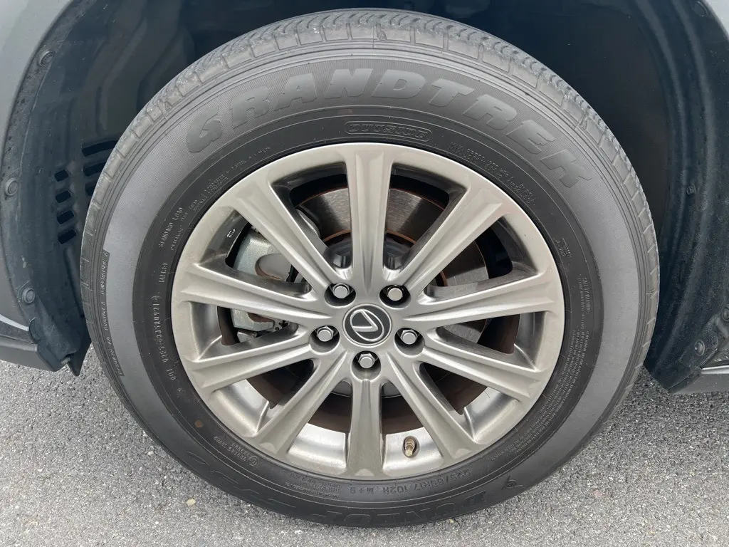 image-11