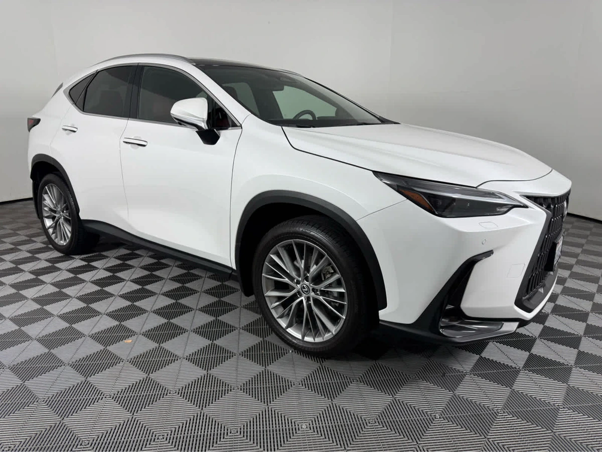 2024 Lexus NX