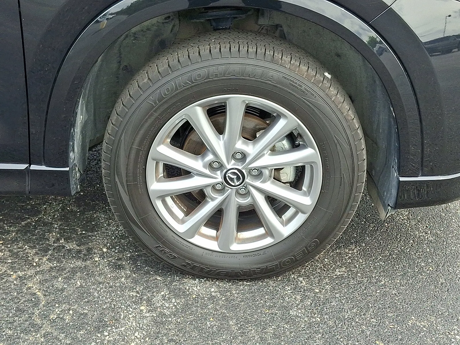 image-7