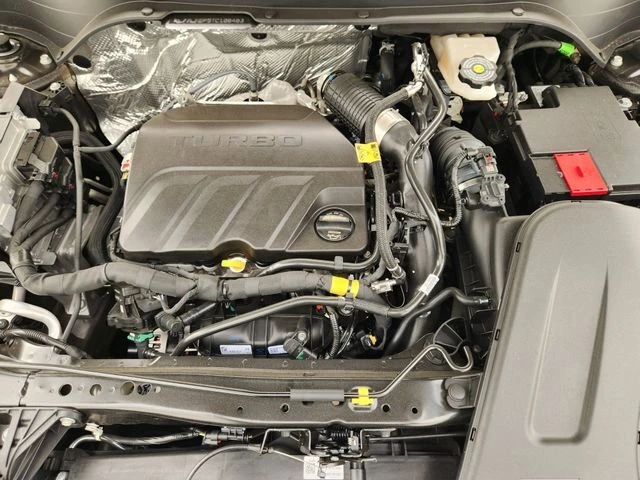 image-19