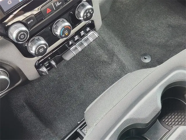 image-19