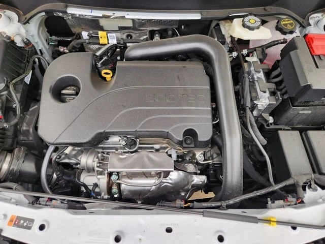 image-19